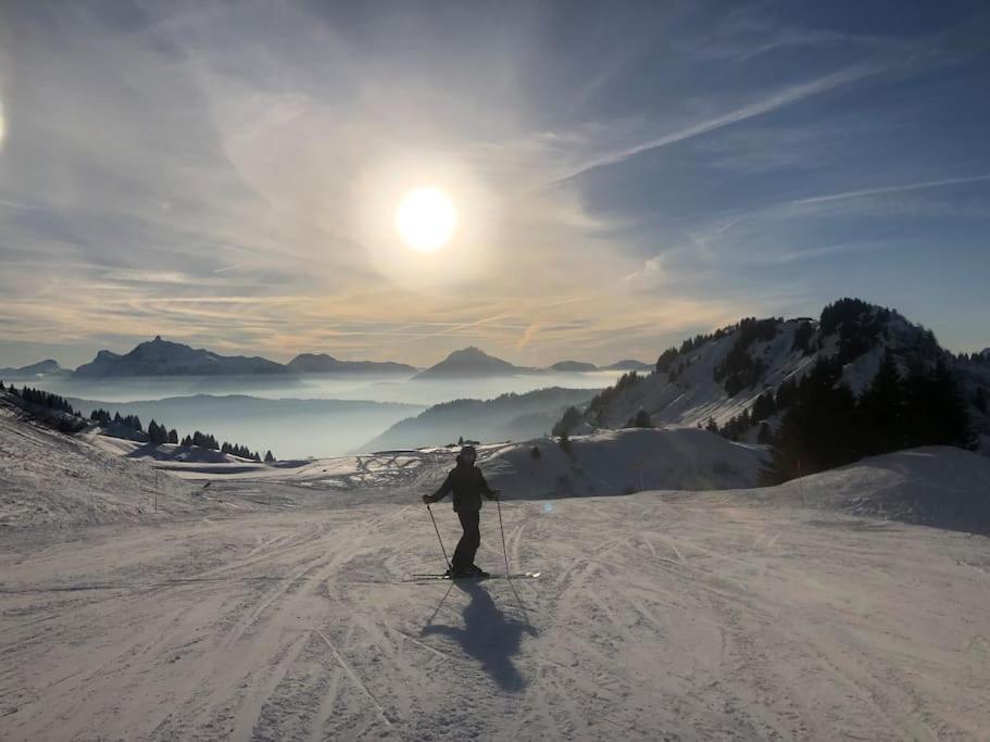 Fabulous Location, Multipass Provider Morzine